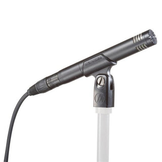 Audio-Technica AT2031 Cardioid Condenser Microphone