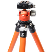 Leofoto LA-284C Athena Series Carbon Fibre Tripod with Orange LH-36LR Ball Head