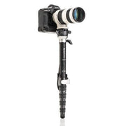 Benro MSDPL46C Supdadupa Pro Carbon Fibre Monopod